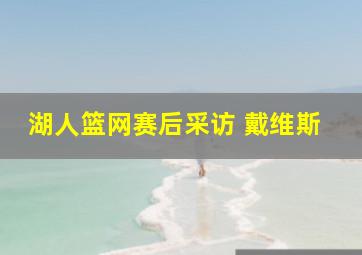 湖人篮网赛后采访 戴维斯